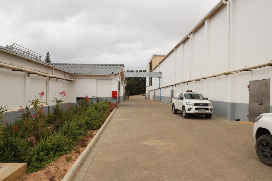 To Let commercial Property for Rent in Paarl South Western Cape